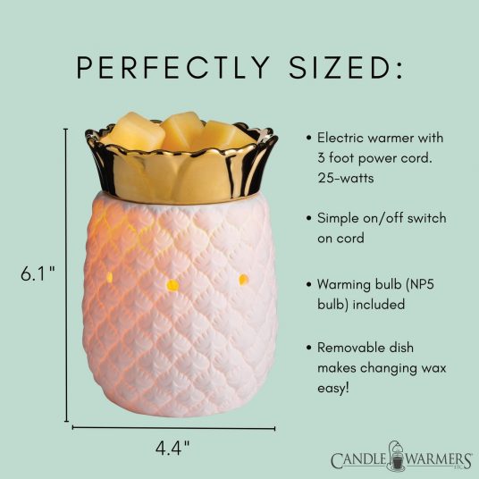 Lampi & vaxhitari Ananas