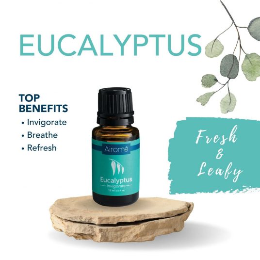 Ilmolía Eucalyptus 15 ml.