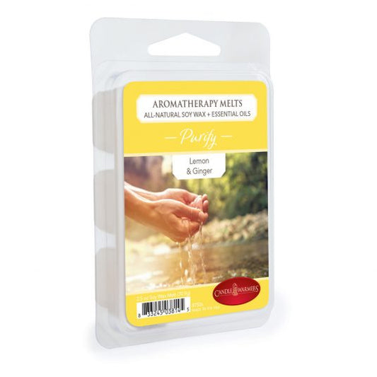 Ilmvax Kubbar Lemon & Ginger 8750s